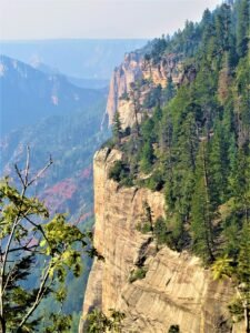 North Rim Grand Canyon Fire