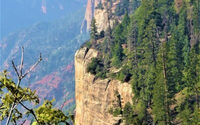 North Rim Grand Canyon Fire