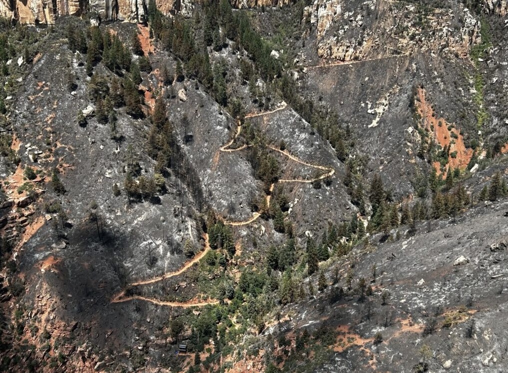 Burned North Kaibab Trail slopes above Supai Tunnel following the Dragon Bravo Fire